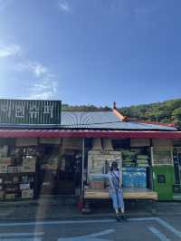 바로 지금, 여행 : 전주 2521 촬영지 투어