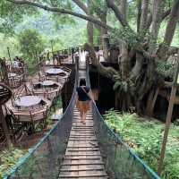 คาเฟ่บนต้นไม้ใหญ่ @the giant เชียงใหม่