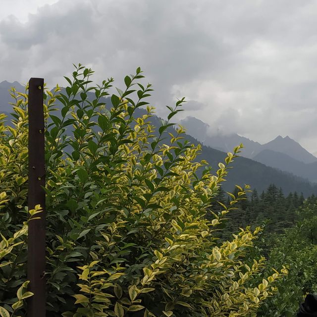 Manali Kullu Himachal Pradesh 