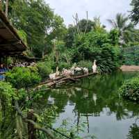 Singapore Zoo Expedition Trip