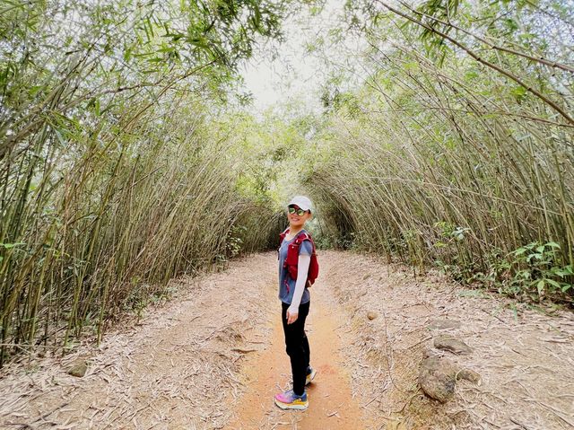 【行山】茅坪古道、北港古道：古靈精怪榼藤