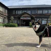昭和30年代へタイムスリップ