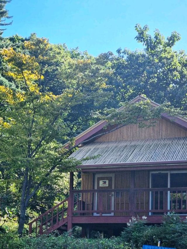 동남아시아아 전통숙소를 한번에 살펴보기!