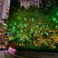 香港萬豪酒店，聖誕樹無比宏偉！壯觀的佈置！