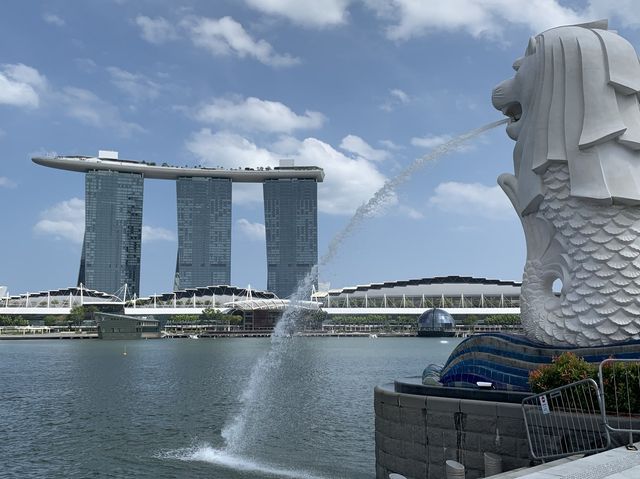 Staycation with a perfect view 
