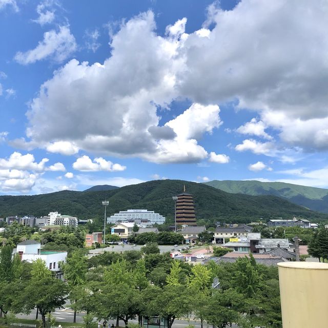 경주월드와 함께 즐기는 워터파크! 캘리포니아 비치 😆🌊