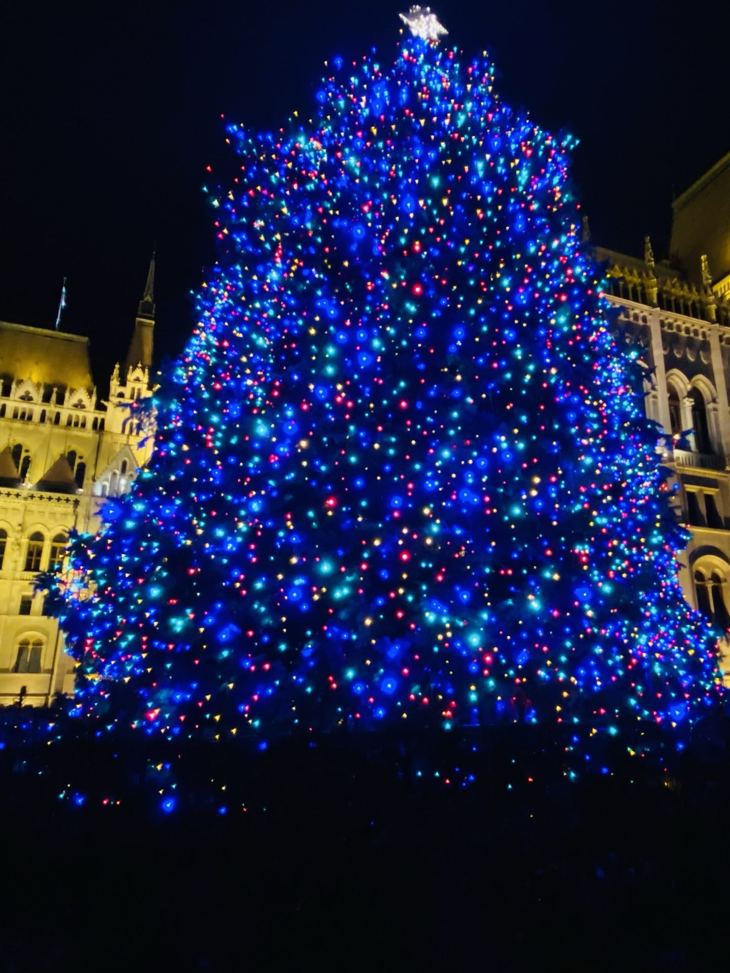 Valdez Christmas Bazaar 2022 💫🎄Trendy Lights In Fashion🎄💫 | Trip.com Budapest Travelogues