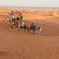 Morocco Sahara Desert Camel Ride