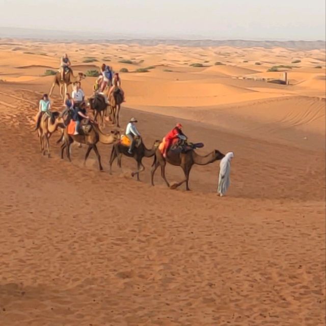 Morocco Sahara Desert Camel Ride
