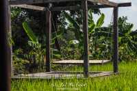 บ้านไร่ปลายนา [อุทัยธานี]