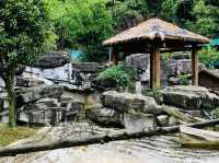 Different species of animals at Qianling Zoo