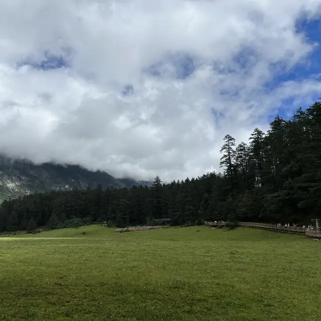 Yunshanping forest park, Yunnan