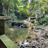Bijia Mountain Park 