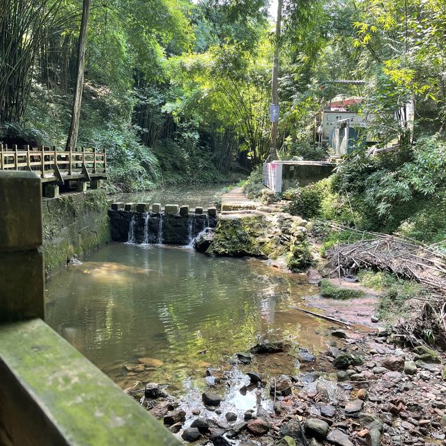 Bijia Mountain Park 