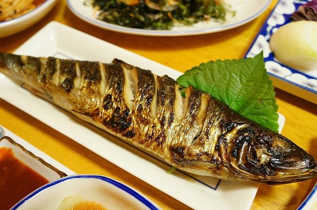 신촌 일식 맛집. 다성일식