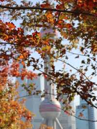 Winter Perspective of the Pearl Tower🧡🍁