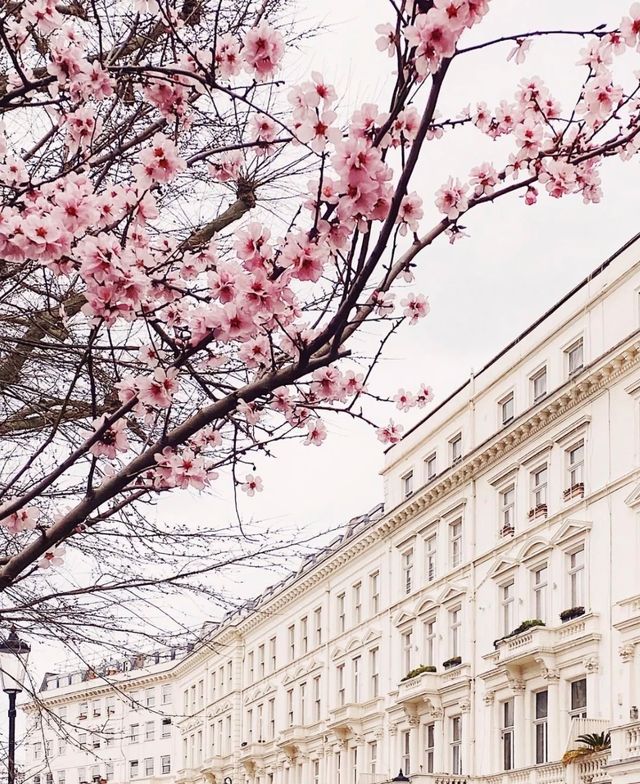 London, UK | Strolling through the streets of Notting Hill in the acclaimed film "Notting Hill"