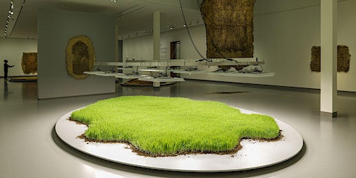 Rondleiding tentoonstelling Diana Scherer | Museum Kranenburgh