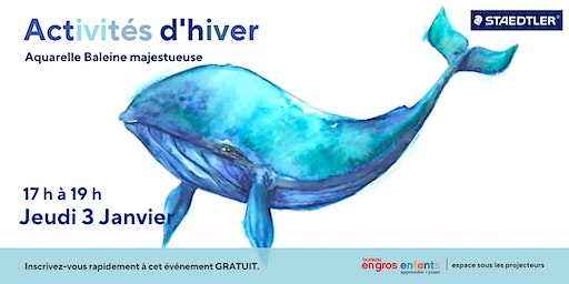 Aquarelle Baleine majestueuse | Staples Des Source