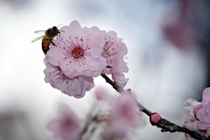 Honeycomb Corner Exhibition | 1 Chome