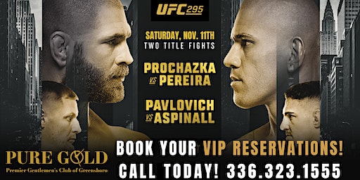 UFC 295 Prochazka v Pereira @ALL NEW Pure Gold GSO, Saturday, Nov. 11th!! | Pure Gold of Greensboro