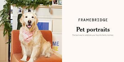 Pet Portraits at Framebridge Mosaic District | Framebridge