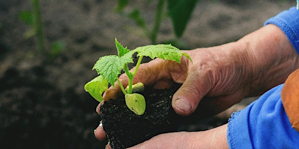 Planting Techniques | 20952 Concession Rd 9