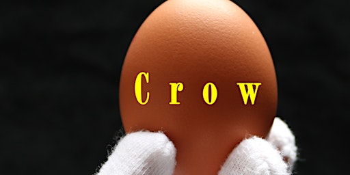 'Crow' Avanti Display with support from Zoe Mulford | Birch Community Centre