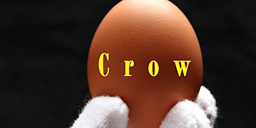'Crow' Avanti Display with support from Zoe Mulford | Birch Community Centre