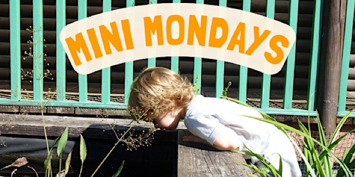 Mini Mondays | Iver Environment Centre