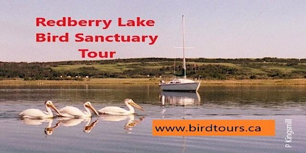 Redberry Lake Bird Sanctuary Tour: Quest for possible early Whooping Cranes | Flying J Travel Center