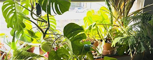 Houseplant Care & Propagation | Grow Pittsburgh Office