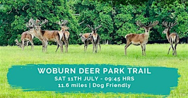 WOBURN DEER PARK TRAIL | 11.6 MILES | MODERATE | WOBURN CAR PARK (Free parking opposite the church)