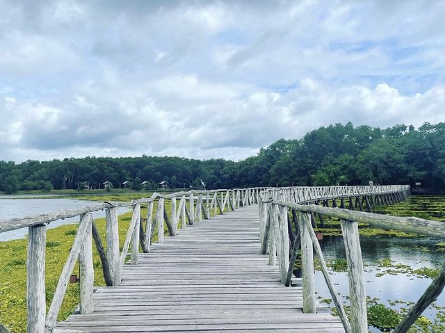สะพานไม้เคี่ยมแหล่งธรรมชาติใกล้ทะเลชุมพร