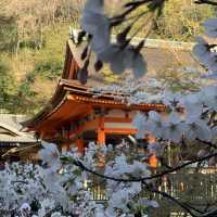 京都｜清水寺～觀光客必去景點