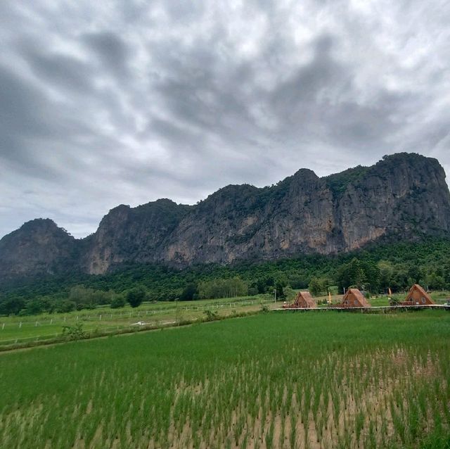ภูผาม่านโฮมสเตย์ ที่พักกลางทุ่งนา วิวหลักล้าน