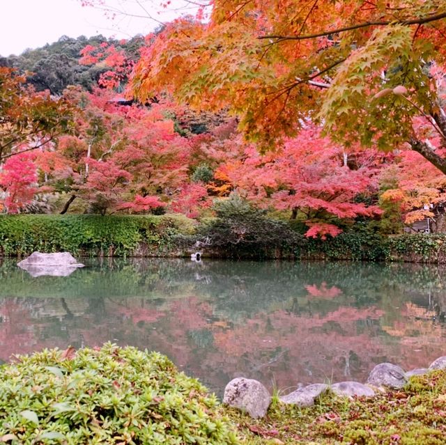 京都[紅葉めぐり]  永観堂[禅林寺]  (感動の庭園編)