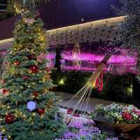 Flower Dome, Christmas light Editon