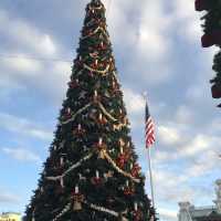 매직킹덤 크리스마스의 낮과 밤🎄