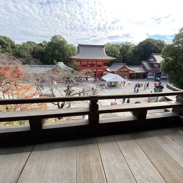 近江神宮、ちはやふる