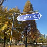 낮과밤 모두 아름다운 경기도 안산 화랑유원지 캠핑장