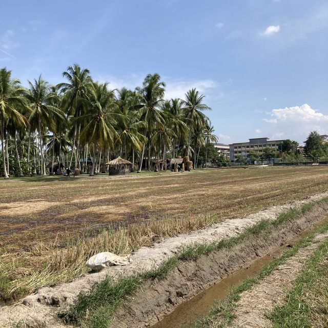 Countryside Lifestyle at Kg Agong