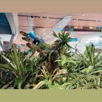 Nature Wonder @ T1 Changi