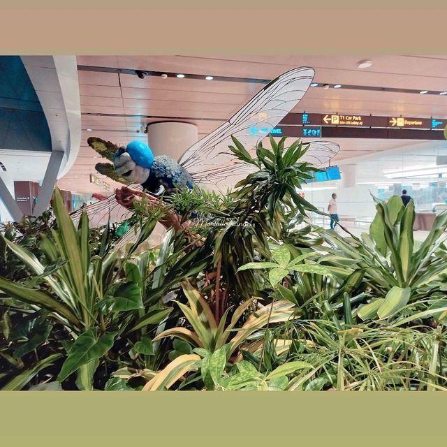 Nature Wonder @ T1 Changi