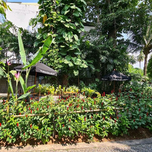Dean & Deluca PHUKET OLD TOWN 