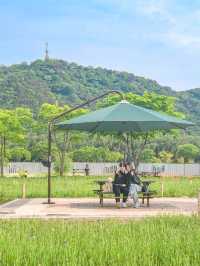 가볍게 산책하기 좋은 #태화강국가정원 🌿 