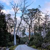 Hitchhiking in Tasmania