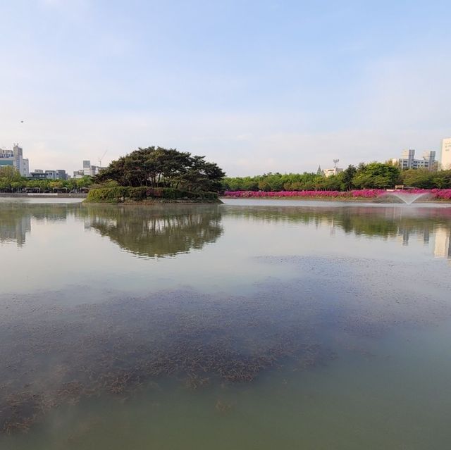 철쭉이 예쁜 쌍암공원