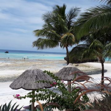 때묻지 않은 순수함 “탄자니아 펨바섬”🚤