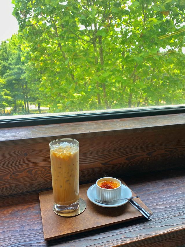 힐링 가득한 나무 뷰 ‘인계동 카페 도안’